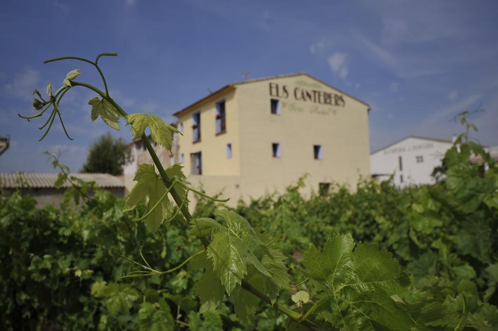 Els Canterers Miravet Exterior photo